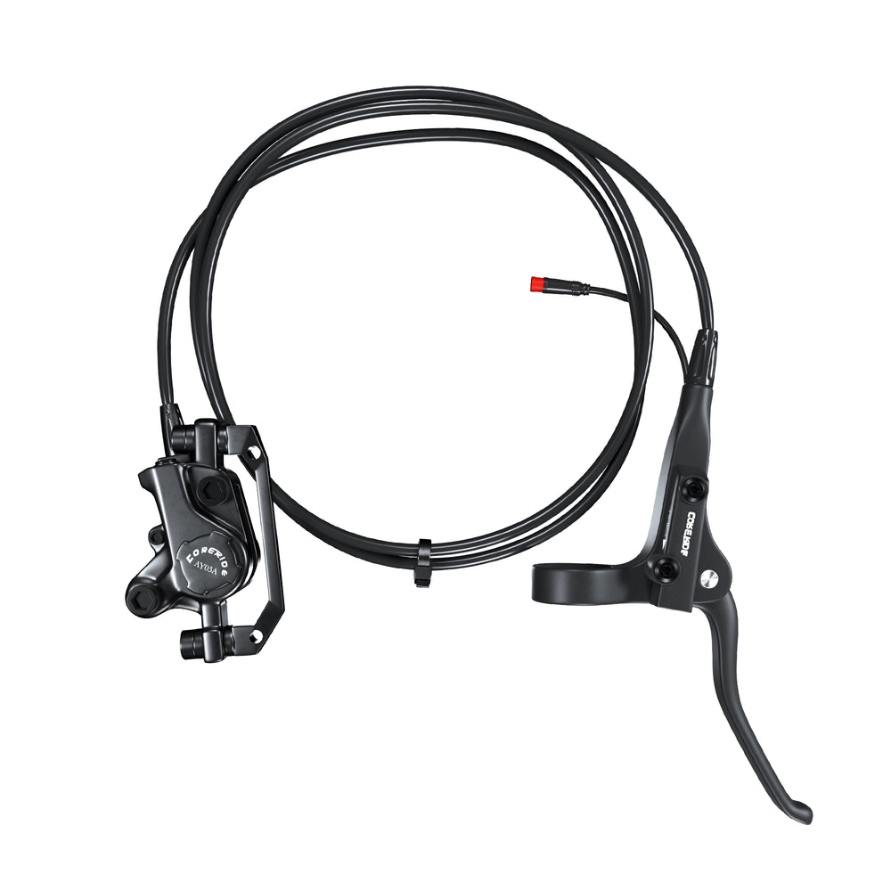 Hydraulic Brakes-Kingbull 