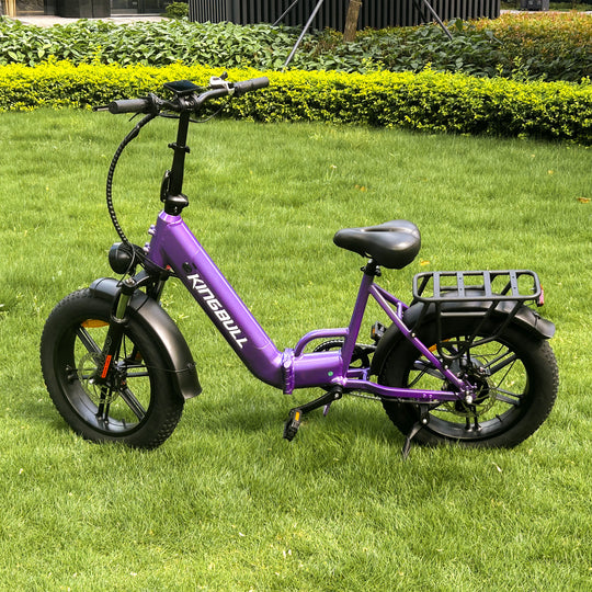 Kingbull Literider 2.0 | All Terrain Folding Electric Fat Bike