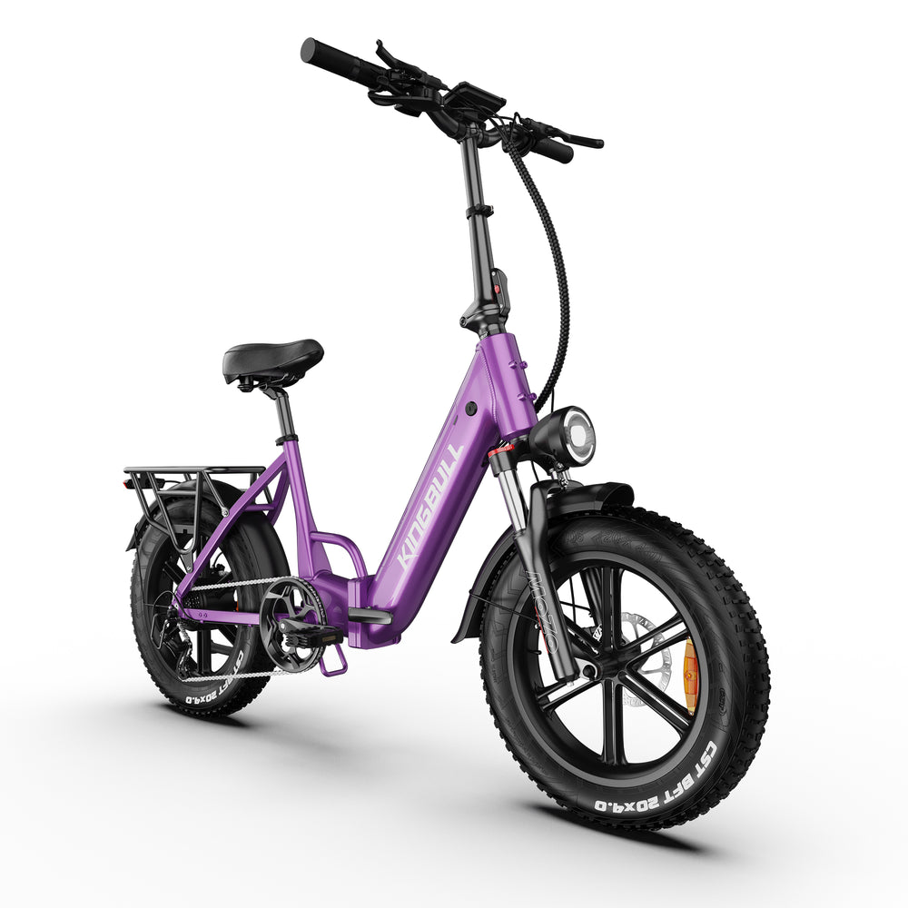 Kingbull Literider 2.0 | All Terrain Folding Electric Fat Bike