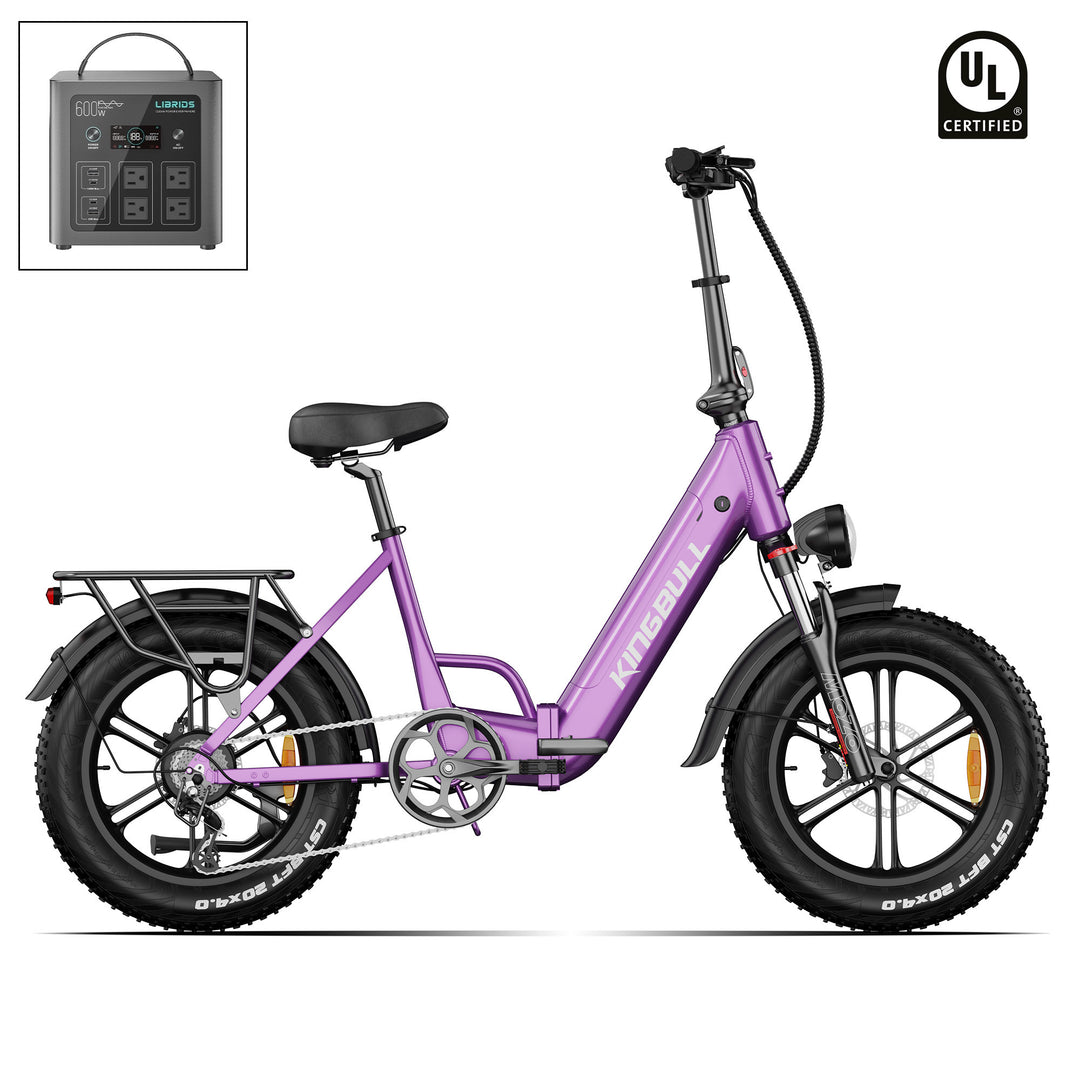 Double Kingbull Literider 2.0