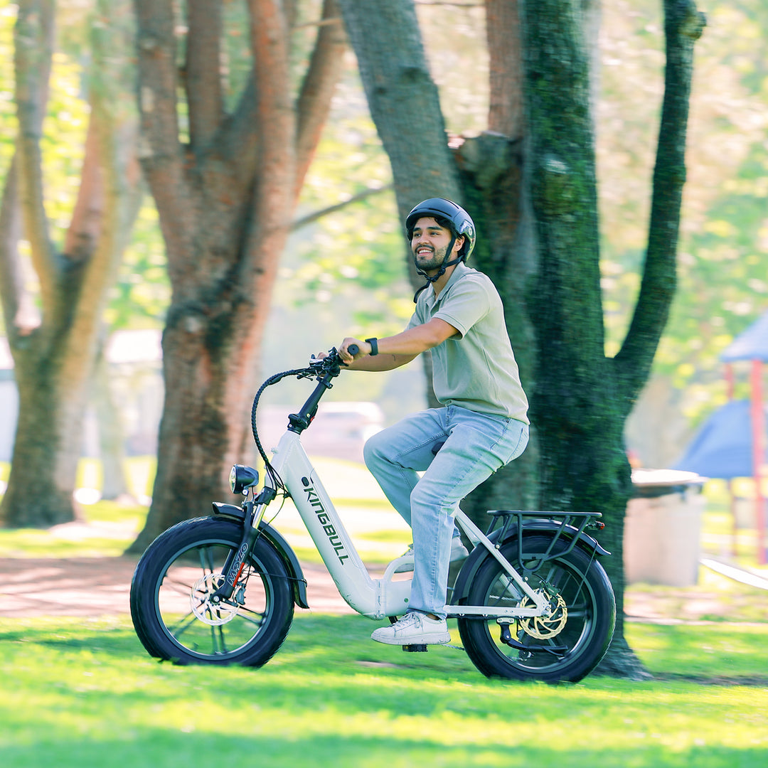 Kingbull Literider 2.0 | All Terrain Folding Electric Fat Bike