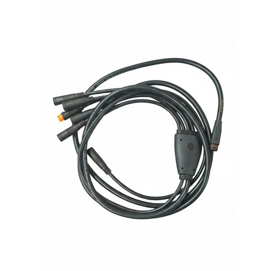 Main Cable