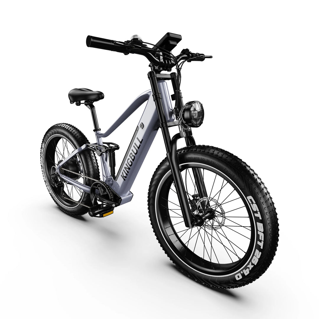 All Terrain Softail Electric Bike Rover