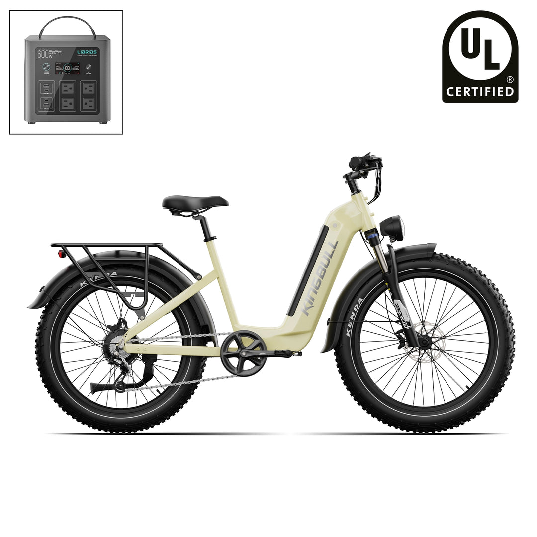 Trekker | Premium Step-Through Electric City Bike