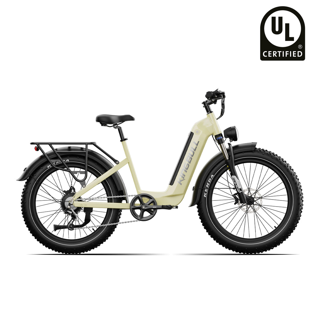 Trekker | Premium Step-Through Electric City Bike