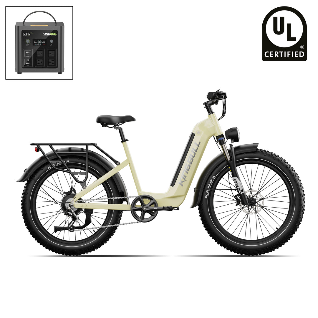 Trekker | Premium Step-Through Electric City Bike