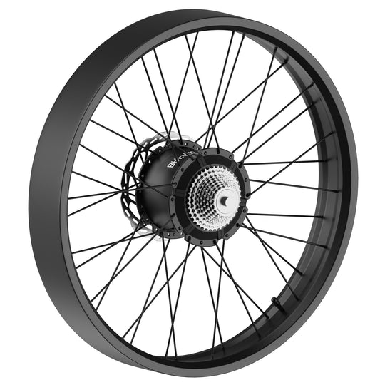 E-Bike Rear Wheel Hub with Motor-trekker