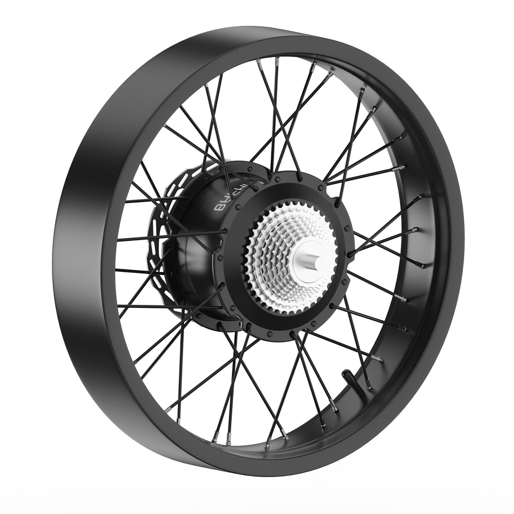 E-Bike Rear Wheel Hub with Motor-kingbull verve