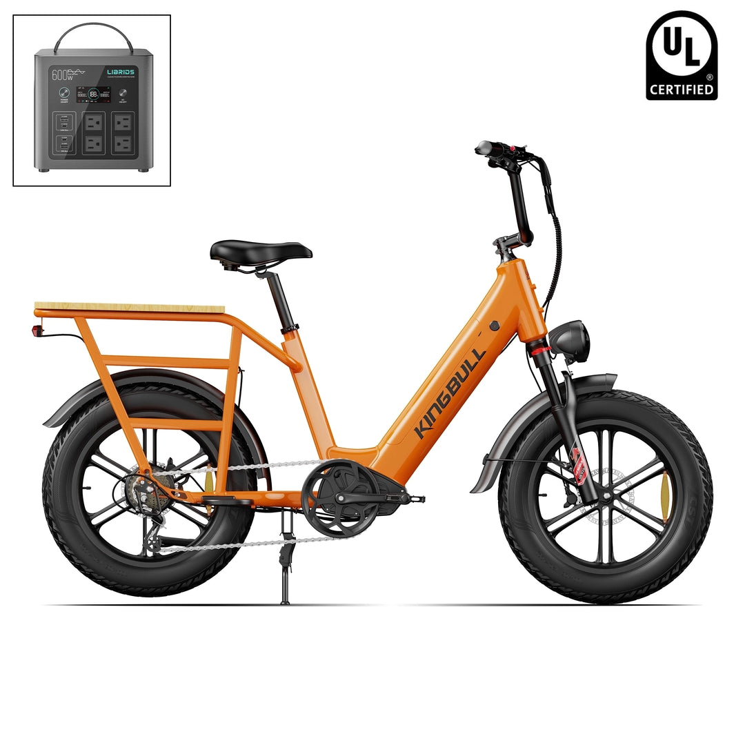 electric cargo bicycles Lectric XPedition2 eBike | Tool-Free Assembly Longtail Utility eBike | Best Bike for Family & Delivery Drivers the Bunch Bike makes your family life easier isinwheel U7S Electric Cargo Bike,