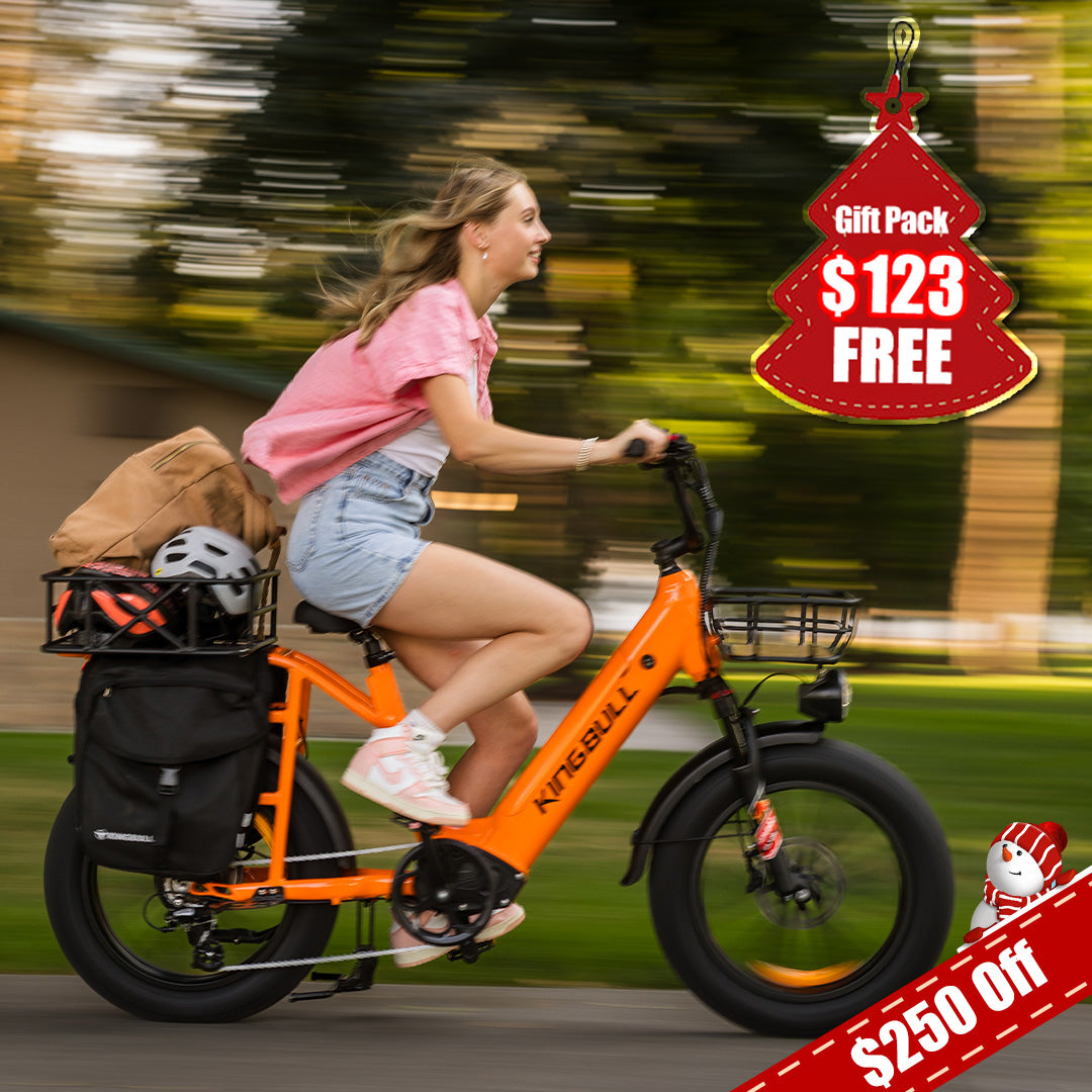 Kingbull Voyager 2.0 | Fat Tire Electric Cargo Bike