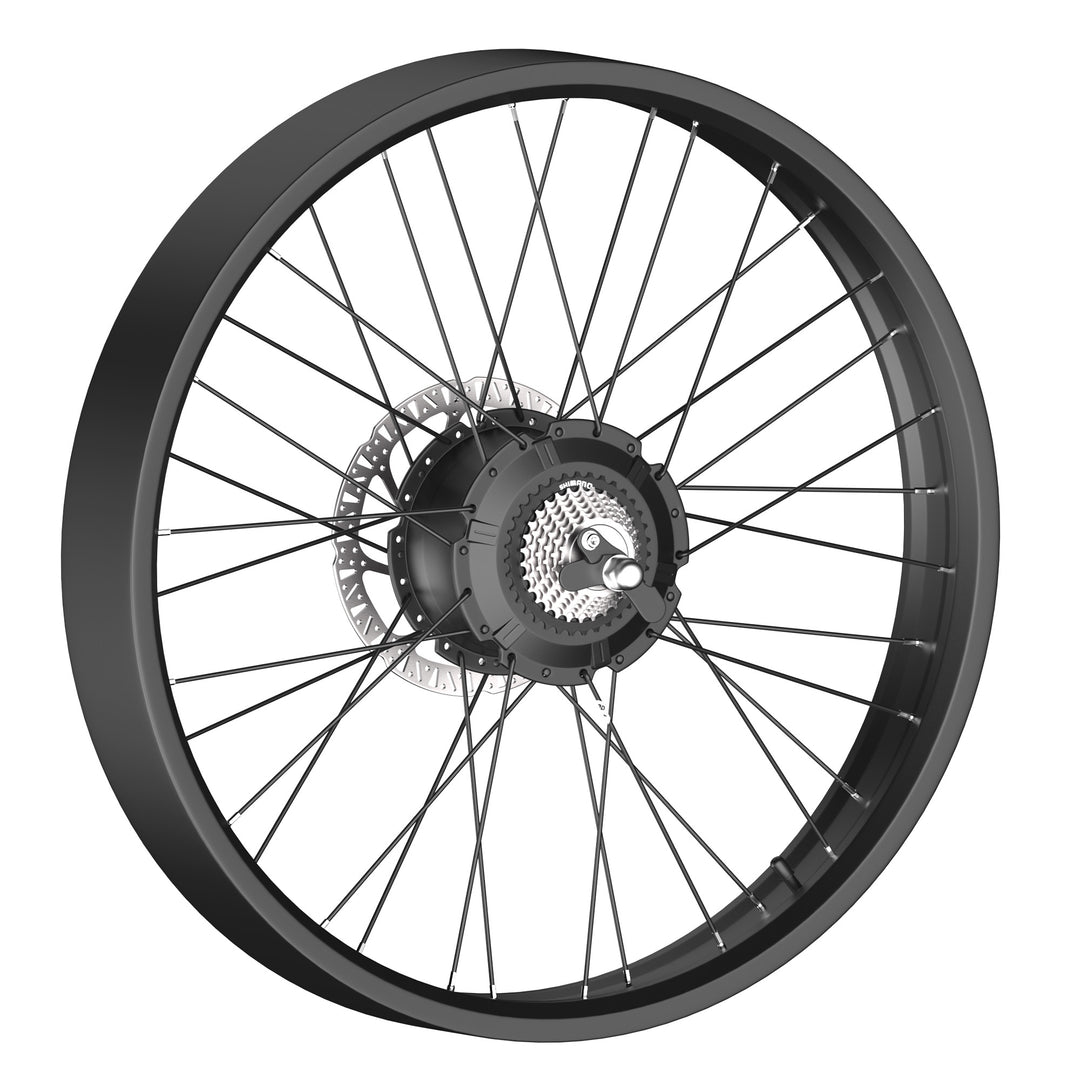 E-Bike Rear Wheel Hub with Motor-kingbull rover2.0