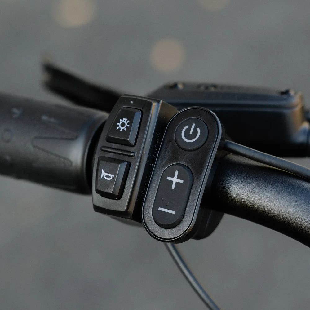 2 in 1 Headlight Horn Switch details